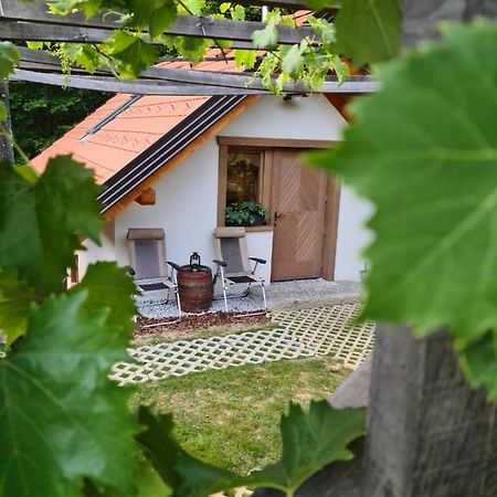 Zidanica Zagar Vila Dolenjske Toplice Exterior foto