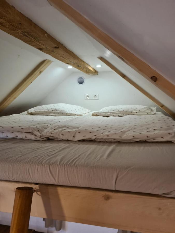 Zidanica Zagar Vila Dolenjske Toplice Exterior foto
