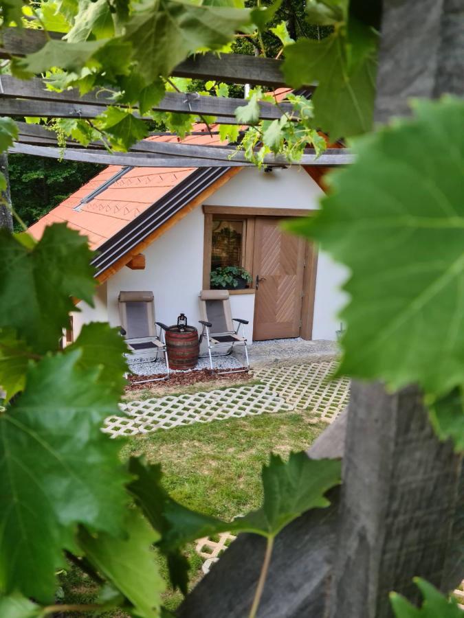 Zidanica Zagar Vila Dolenjske Toplice Exterior foto