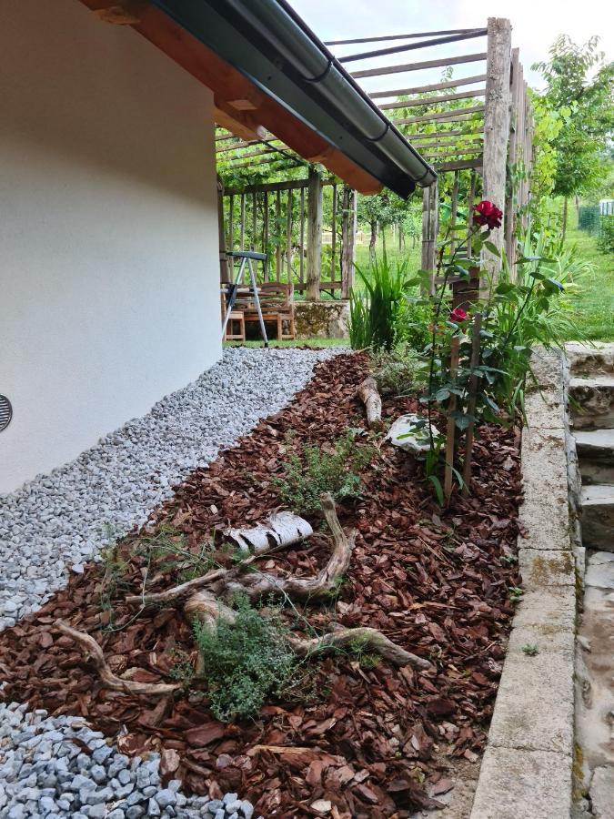 Zidanica Zagar Vila Dolenjske Toplice Exterior foto