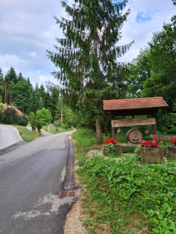 Zidanica Zagar Vila Dolenjske Toplice Exterior foto